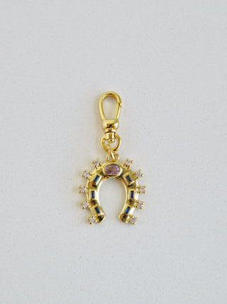 Diamond Horseshoe with Swivel Clasp