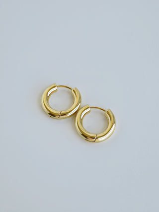 Noel Hoops