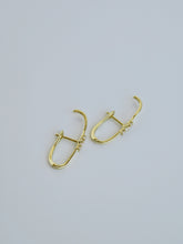 Load image into Gallery viewer, Shauna Diamond English Lock Earrings
