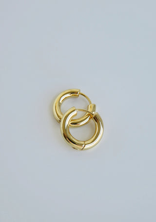 Noel Hoops