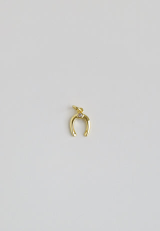 Petite Diamond Horseshoe Charm