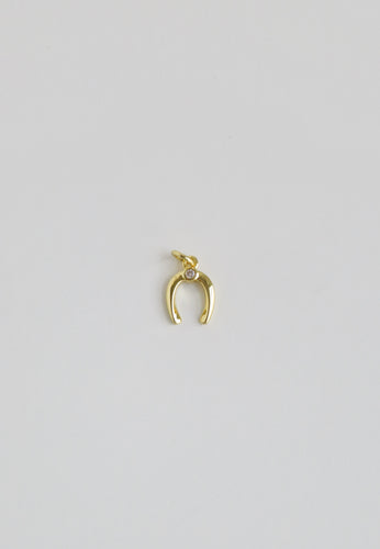 Petite Diamond Horseshoe Charm